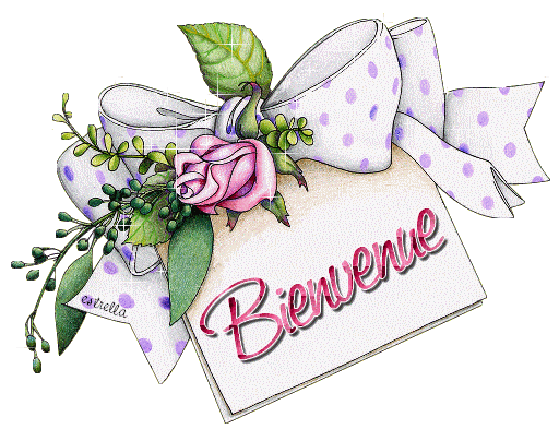 Ma présentation 17b2b84c