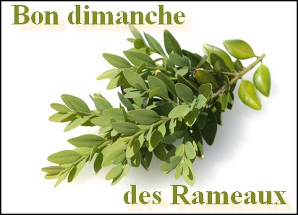 Gif Dimanche Des Rameaux