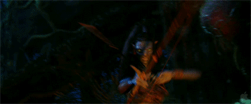 2fb69ae7.gif (361×150)