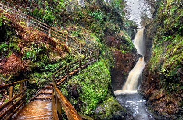 Pensée d'Omraam Mikhaël Aïvanhov: 13 avril