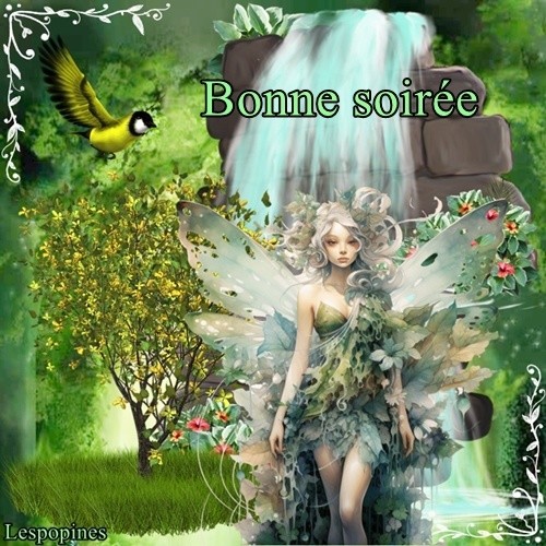 gif bonsoir : bonne nuit 