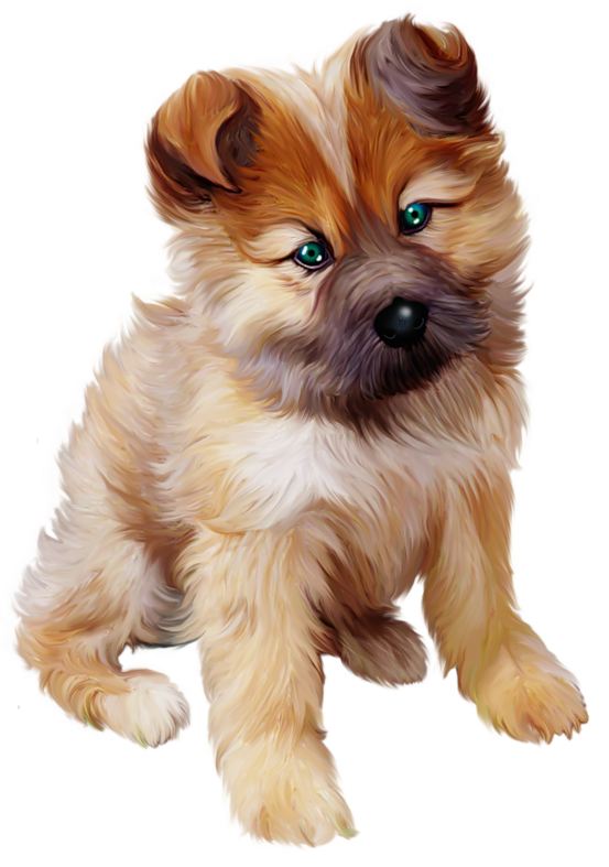 gif chien