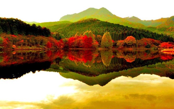 Pensée d'Omraam Mikhaël Aïvanhov: 21 Novembre