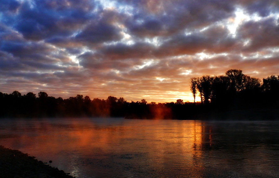 Pensée d'Omraam Mikhaël Aïvanhov: 25 novembre